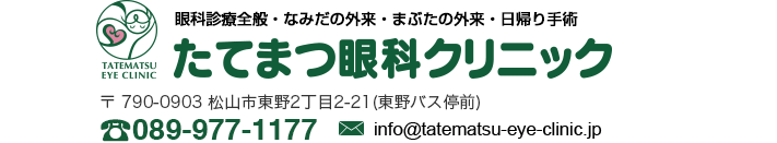 松山　眼科　たてまつ眼科　松山市　愛媛　愛媛県　眼科診療全般　なみだの外来　まぶたの外来　日帰り手術　たてまつ眼科クリニック